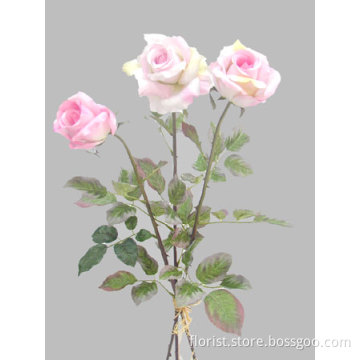 Set Of Rose (3)